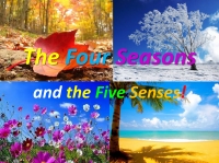 Four Seasons and Five Senses
